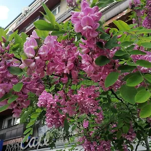 Pulawska 53 , Warszawa Polska